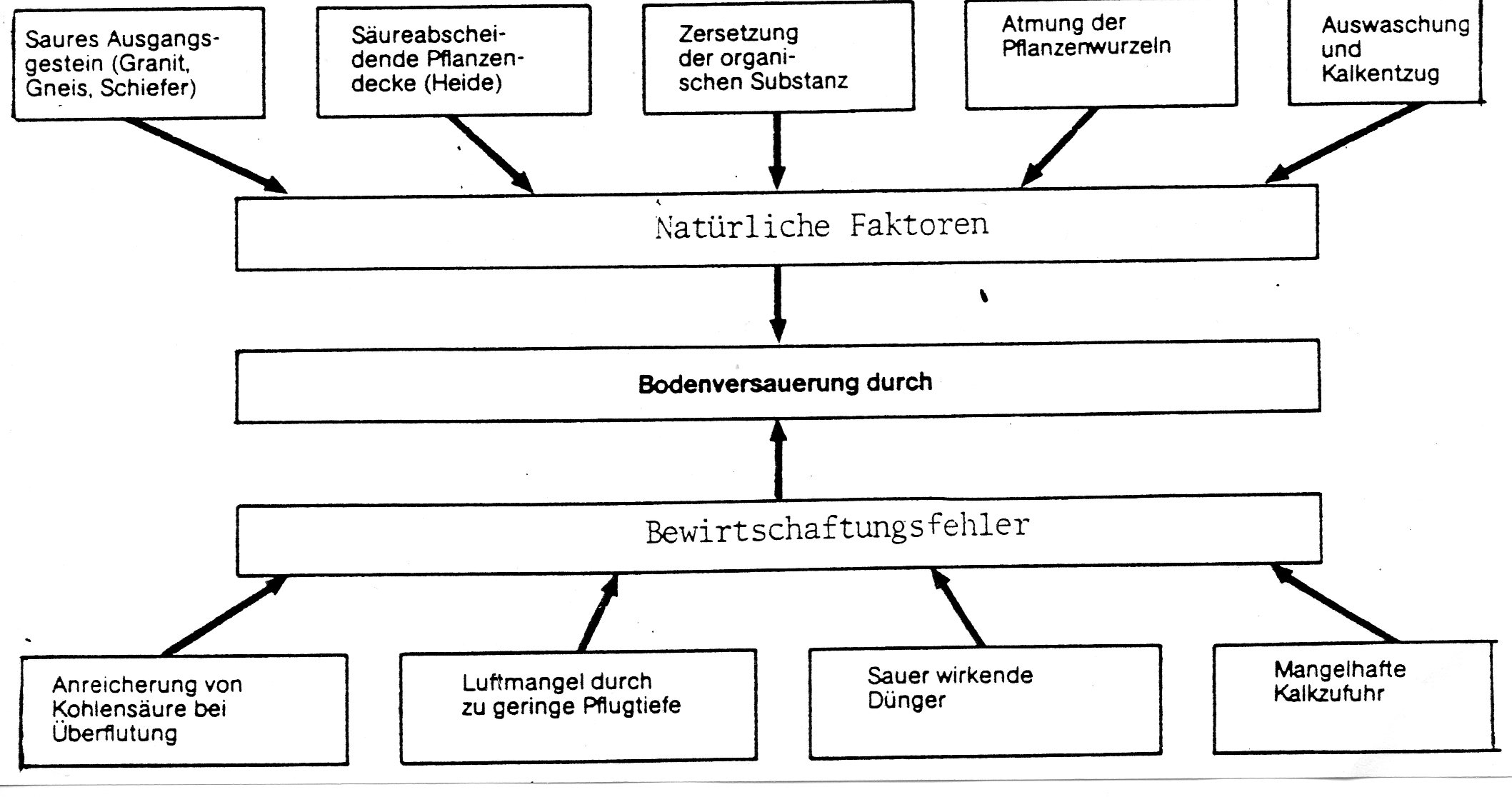 Ursachen der Bodenversauerung