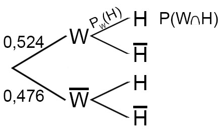 Datei:Baum Ü4 2 1.jpg