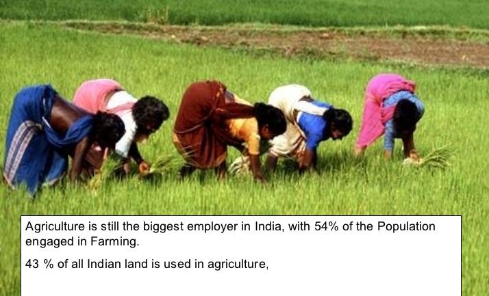 Datei:Bene Brenner Unbenannt.jpg