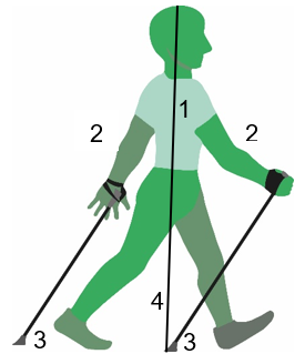 Nordic-walking-zahlen.png