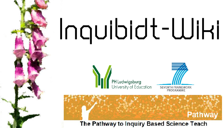 Datei:Leonieloew 2.3.png