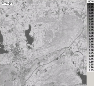 Datei:NDVI43 b sw.jpg