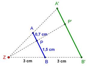 Porzelt Verhältnistreu.jpg