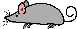 Mice are nice.jpg