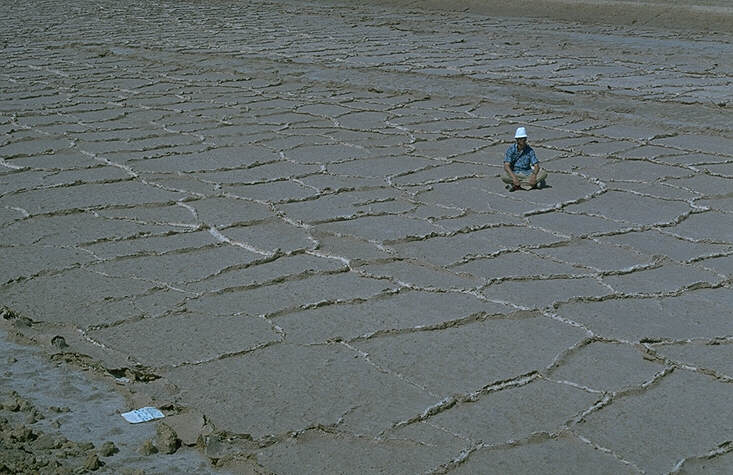 Datei:Atlas-1980-05- Salzmusterböden.jpg