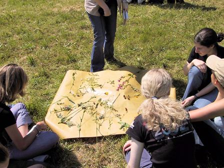 Datei:Leonieloew IMG 1149k.jpg