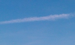 Datei:Nicolas.A 11-8FCD3F83-986749-800.jpg