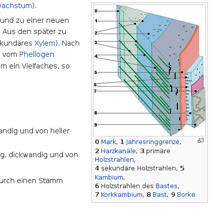 Datei:Holz-Artikel bei Wikipedia 05.png