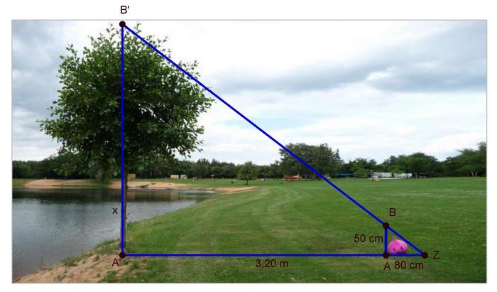 Porzelt Vierstreckensatz Baum.jpg