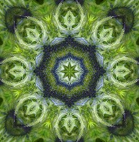Kaleidoskop.jpg