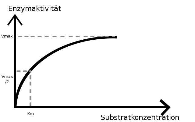 Datei:Substratkonzentration.jpg