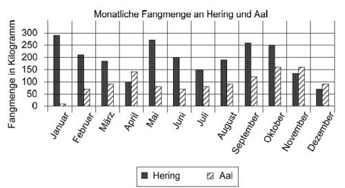 AufgabeB18 Fisch.jpg