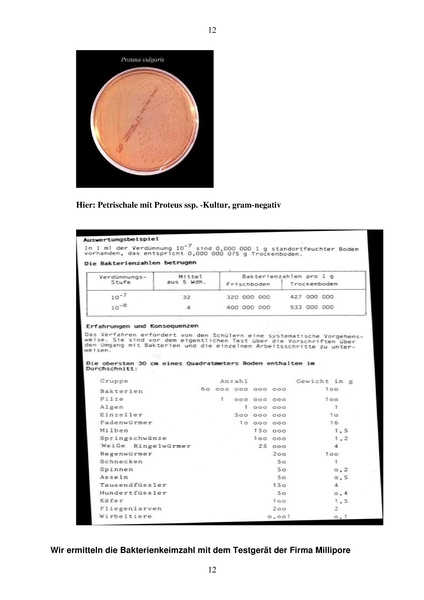 Datei:Der Boden in seiner organischen Zusammensetzung alle.pdf