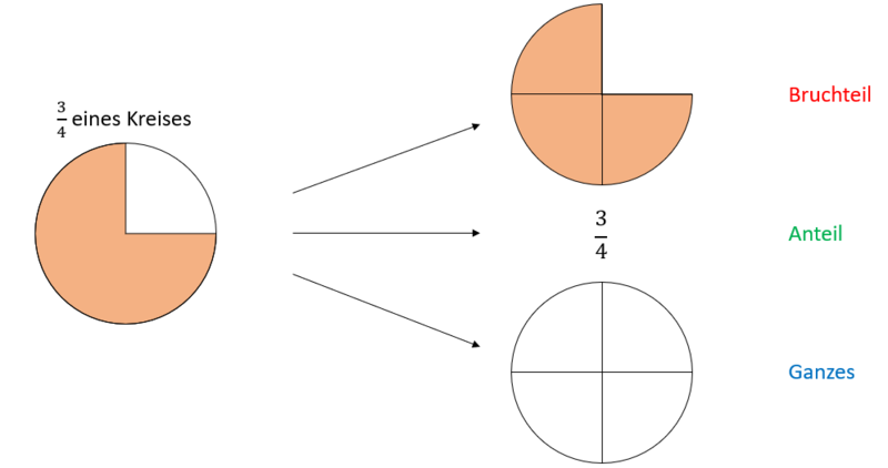 Datei:Darstellung kontinuierliches Ganzes.png