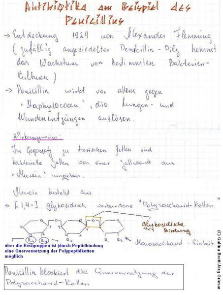 Datei:12221 Mitschrift 2008 Lk a Penicillin.jpg