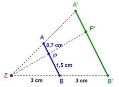 Porzelt Verhältnistreu.jpg
