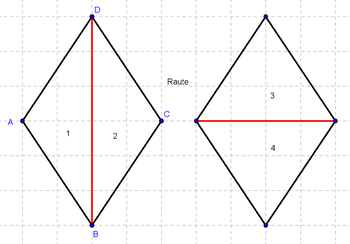 RauteD.png