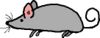 Mice are nice.jpg