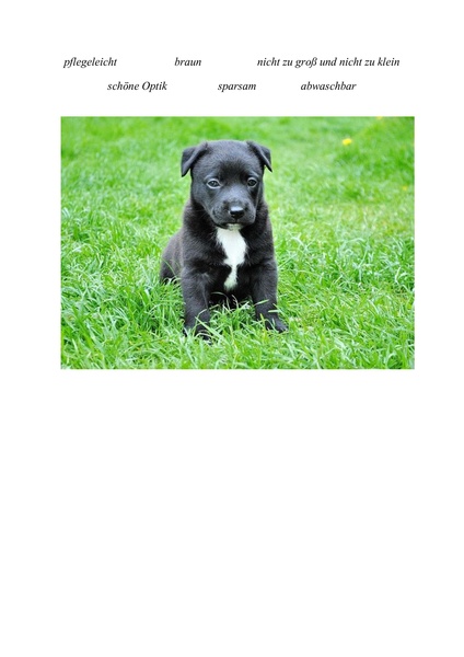 Datei:EinstiegTafelbild.pdf