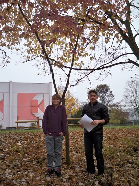 Datei:HeikeDecker 100 1640.jpg