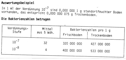 Bakterienauswertung1.jpg