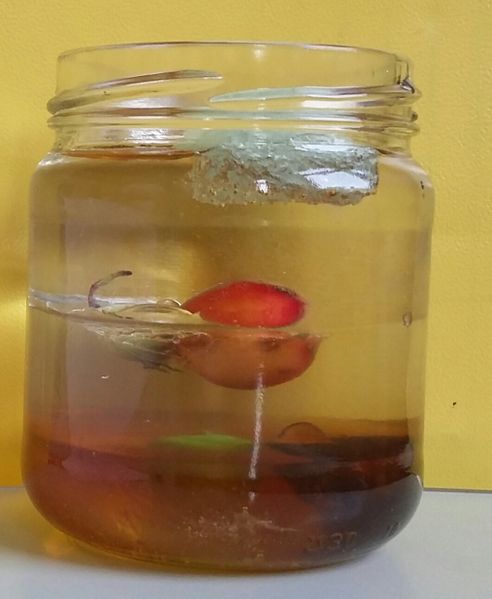 Datei:Dichte von Fluessigkeiten - Honig-Oel-Wasser.jpg