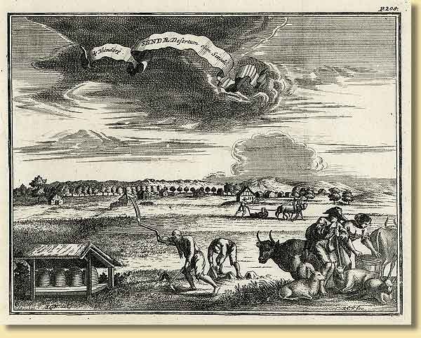 Datei:Höverhof in der Senne.jpg