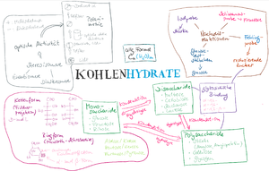 Lernlandkarte Kohlenhydrate