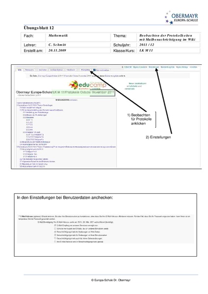 Datei:CJSchmitt Beobachten.PDF