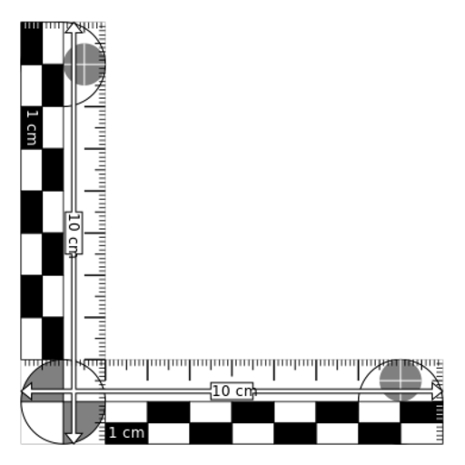 Datei:Photomacrographic-scale-10x10-msc1.svg