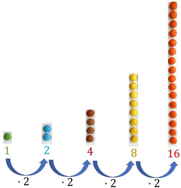 Datei:Exponentielles Wachstum mit Schokolinsen.jpg