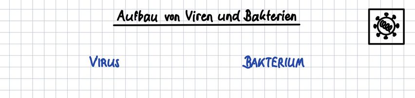 TA Bau und Vermehrung.jpg